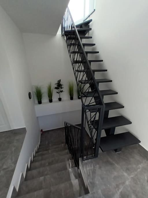 Old Town Studio 1 Apartment Nr 1 Baia Mare Exteriör bild