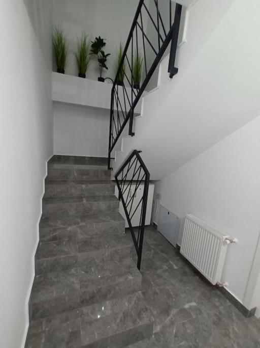 Old Town Studio 1 Apartment Nr 1 Baia Mare Exteriör bild
