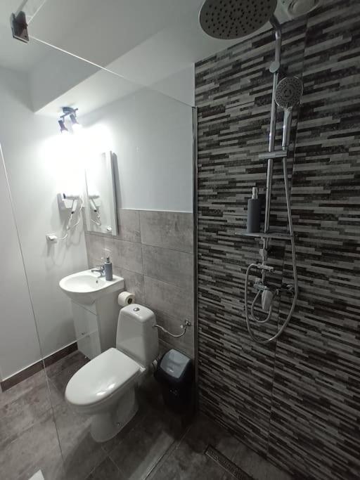 Old Town Studio 1 Apartment Nr 1 Baia Mare Exteriör bild
