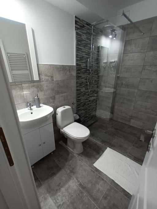 Old Town Studio 1 Apartment Nr 1 Baia Mare Exteriör bild