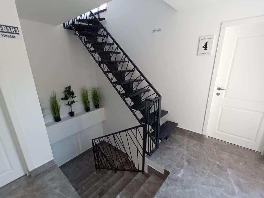 Old Town Studio 1 Apartment Nr 1 Baia Mare Exteriör bild